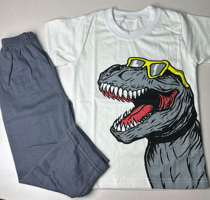 Casual t.shirt Trauser for Boys